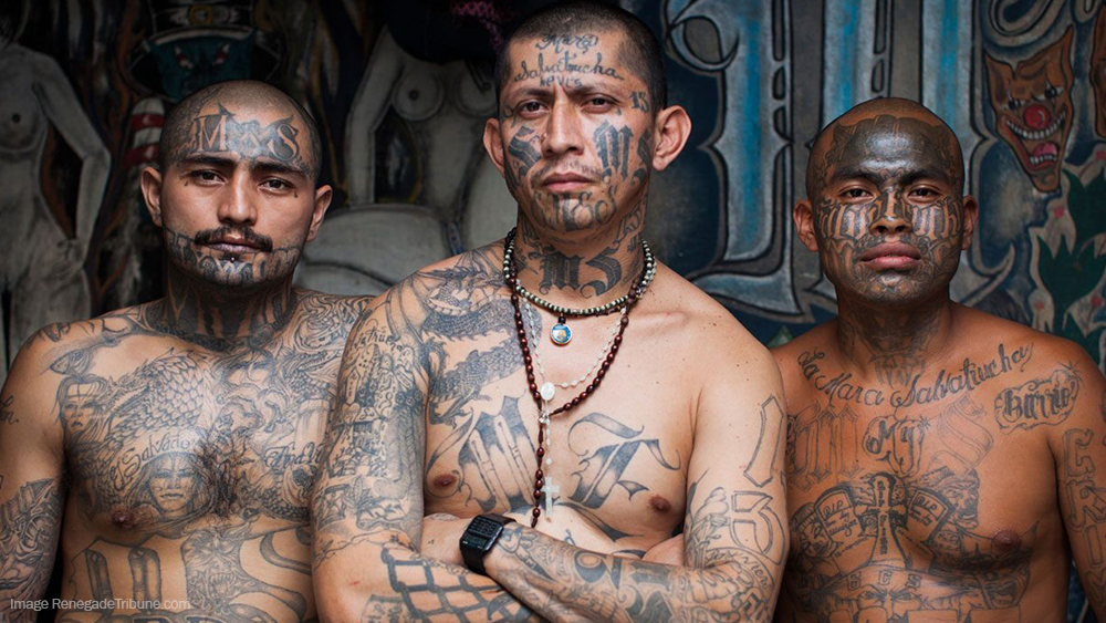 Image: Obama’s DACA program tied to growth of deadly MS-13 gang which has spread to 22 states: End it NOW