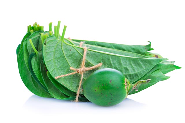 Image: Can betel leaves be used in commercial toothpaste?