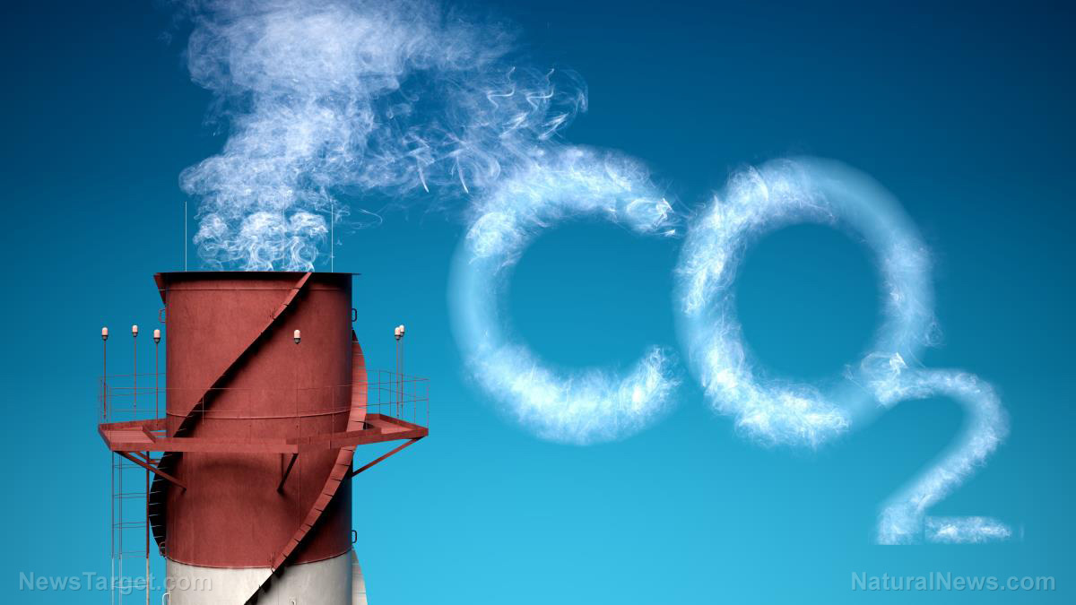 Image: Carbon dioxide “pollutant” myth totally DEBUNKED in must-see science video