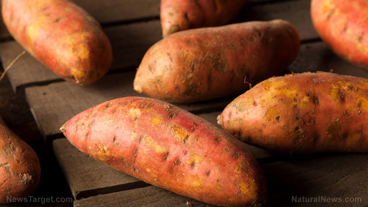 Image: Sweet superfood: The 6 health benefits of nutrient-rich sweet potatoes