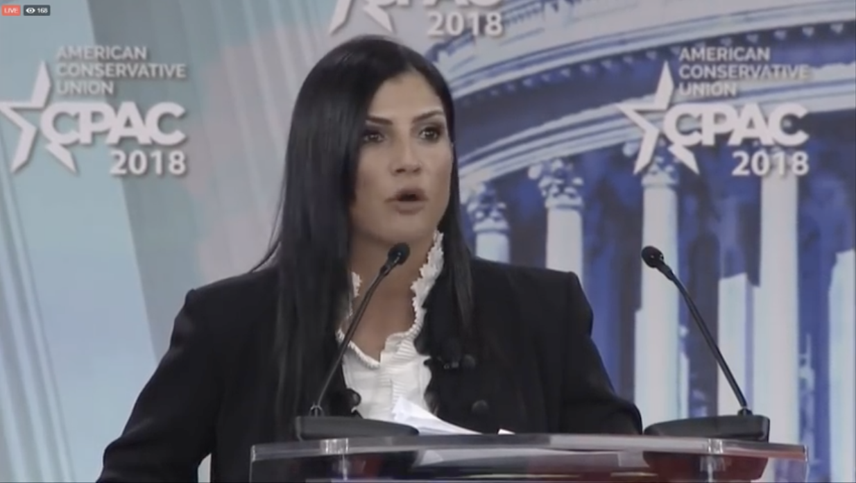 Image: CNN hosts a modern-day Salem Witch Trial: Angry Leftists shout “burn her!” at NRA spokeswoman Dana Loesch