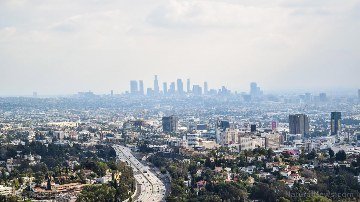 Image: Doctor warns Los Angeles collapsing into Third World health status… the filth of progressivism has become undeniable