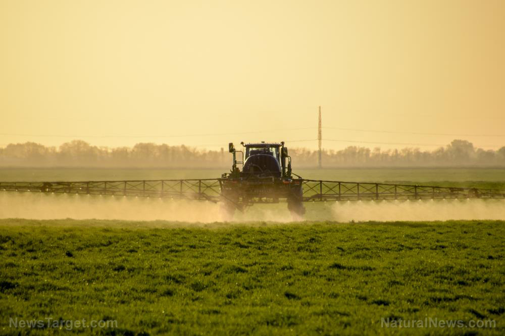 Image: Exposure to glyphosate increases risk of cancer by more than 40%