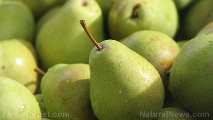 Image: Why you should eat pears: A nutrient review
