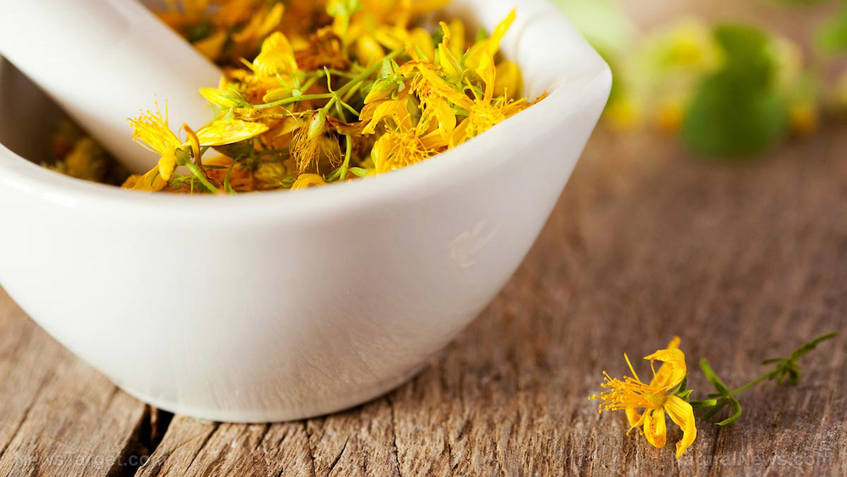 Image: The pros and cons of taking St. John’s wort: What you need to know
