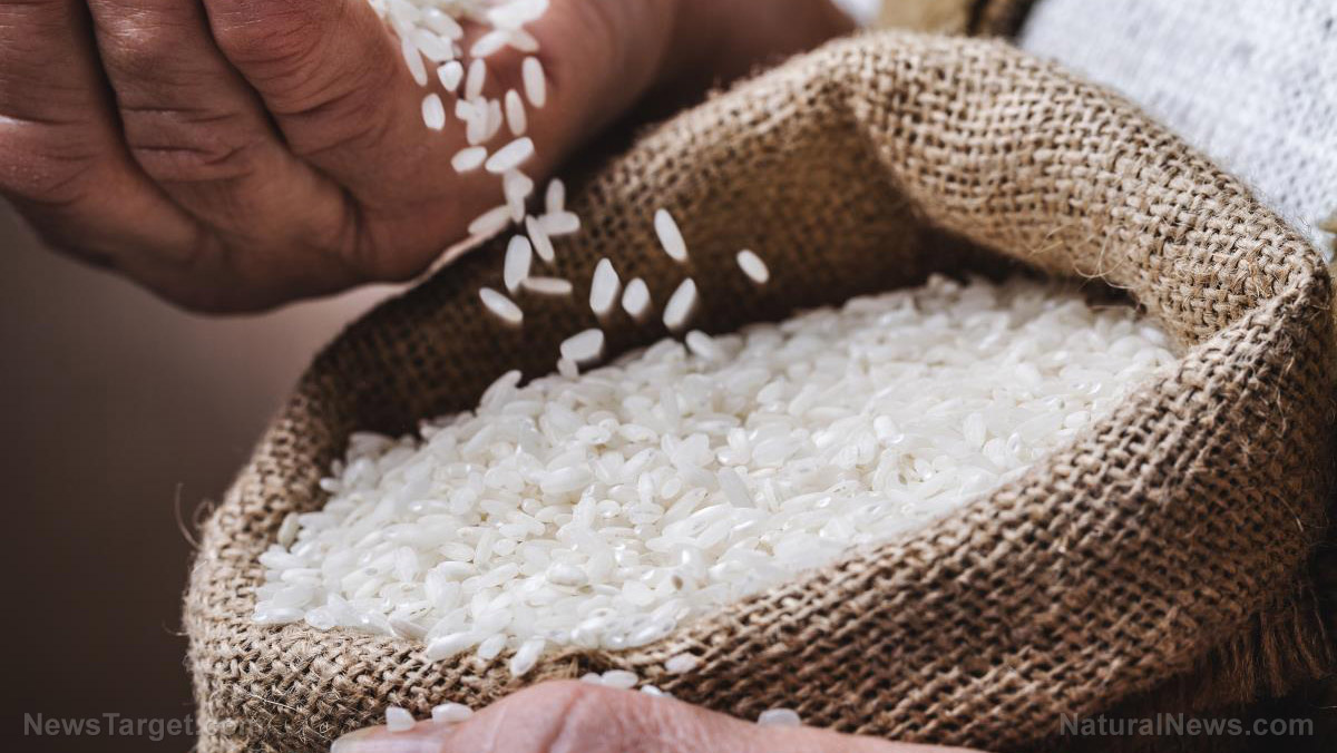 Image: Genetically modified rice from China approved by the FDA — without independent testing