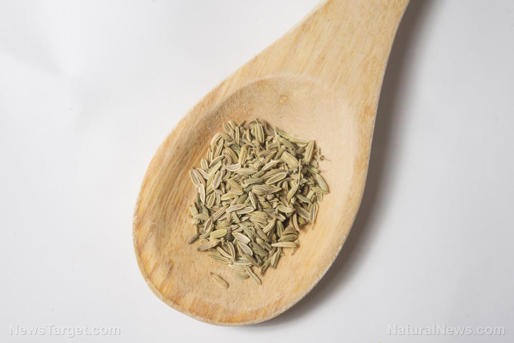 Image: 15 Reasons to drink fennel tea