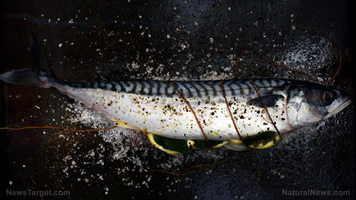 Image: Alaskan vacation ends in mercury poisoning after man eats too much fish