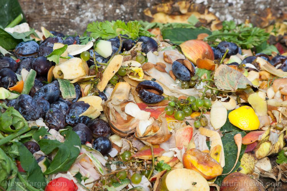 Image: Ambitious study looks at converting food waste back into food