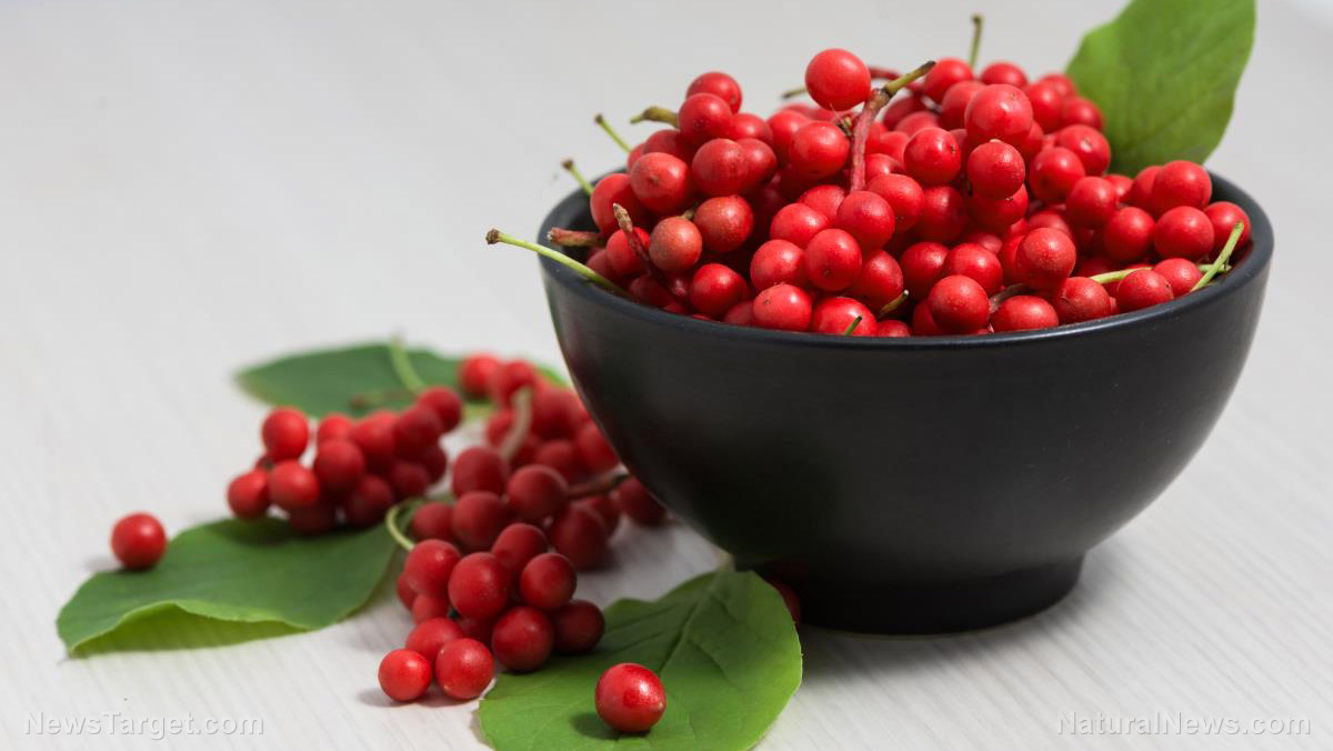 Image: Your liver loves schisandra extract: Research shows these berries reduce risk of NAFLD, liver dysfunction