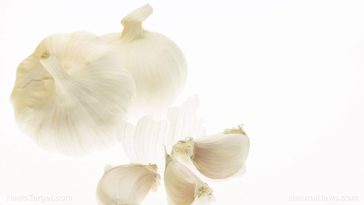 Image: Garlic found to remove lead from the body better than a common chelator drug