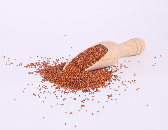 Image: Finger millet (Eleusine coracana) is a nutrient powerhouse: Review