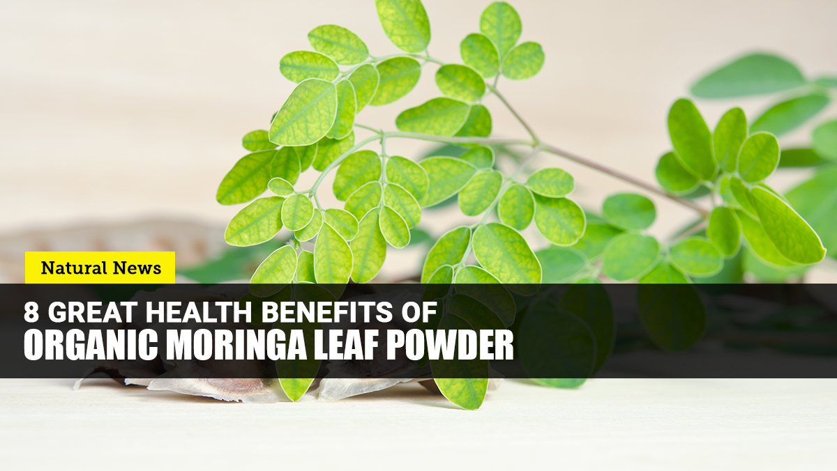 Image: Add organic MORINGA leaf powder to your daily routine to promote your overall health
