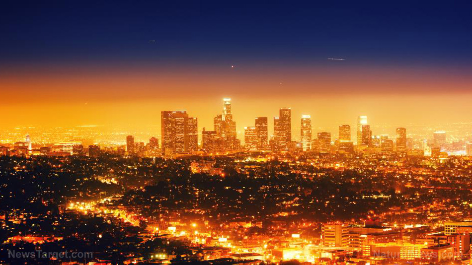Image: Los Angeles faces an imminent bubonic plague outbreak due to rampant homelessness