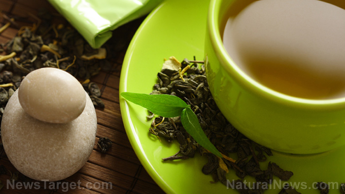 Image: Leaky gut? Drinking green tea can help