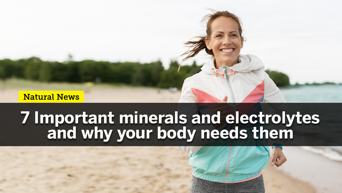 Image: Staying hydrated is not enough: Here’s why you should infuse your drinking water with minerals and electrolytes