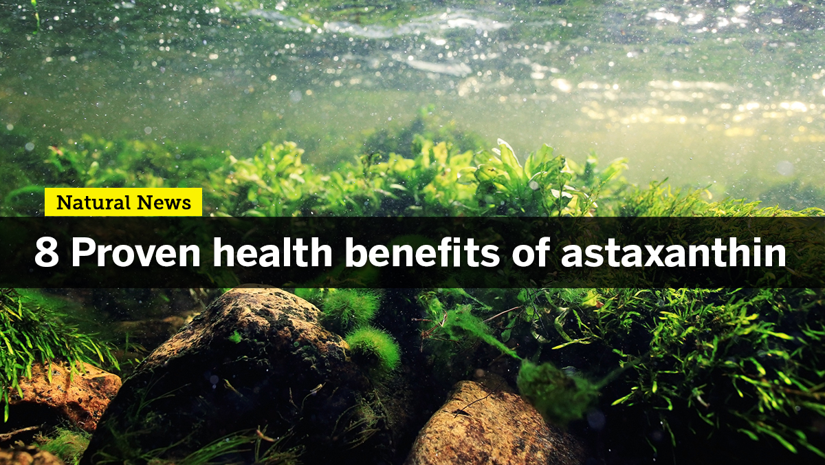 Image: Enhance your strength and stamina with Astaxanthin, one of nature’s most potent antioxidants
