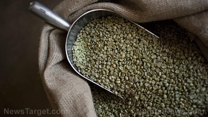 Image: Fermented green coffee has potent anticancer effects thanks to chlorogenic acid and surfactin