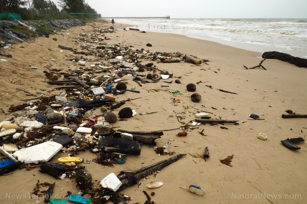 Image: Oceans have become TOXIC to humans, rendering beach-goers unable to breathe