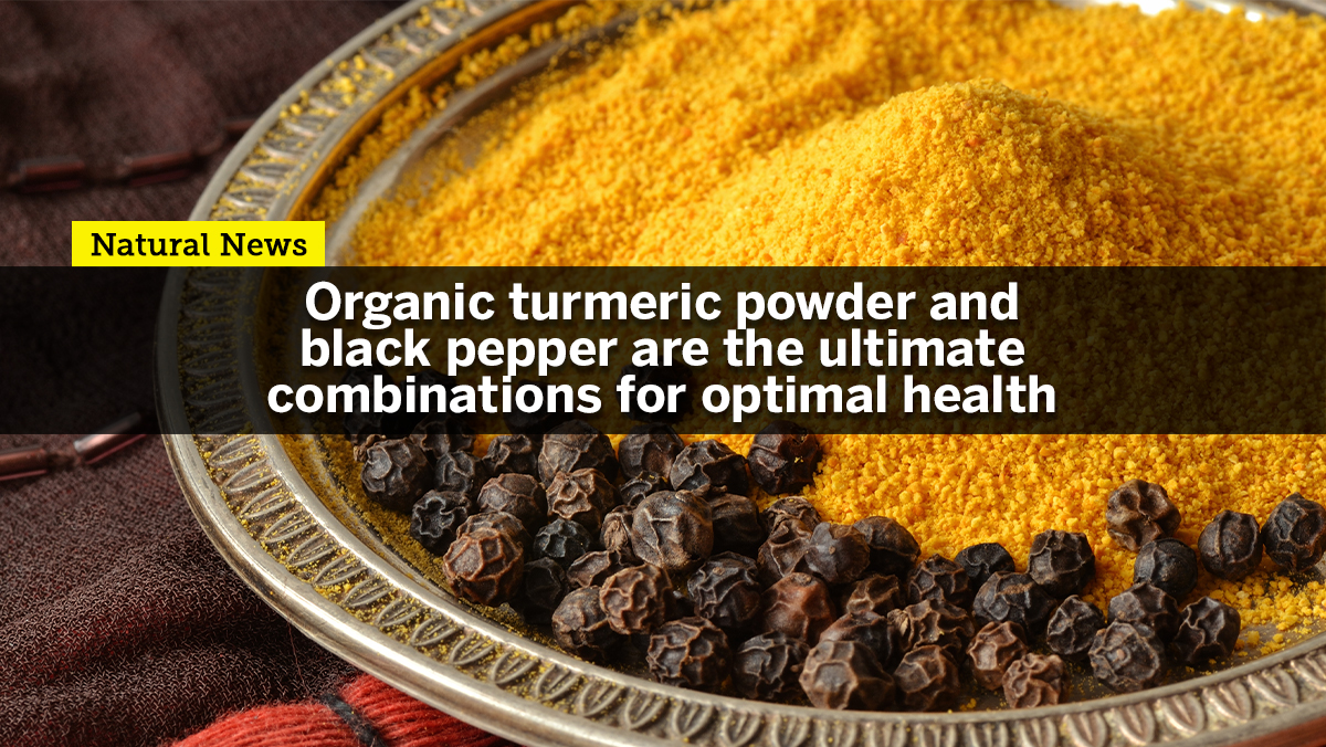 Image: Organic turmeric powder with black pepper is the ultimate combination for optimal health