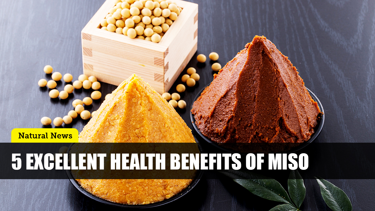 Image: Miso: Add this traditional Japanese condiment to your diet for optimal health