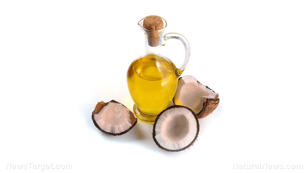Image: The antifungal properties of coconut oil extend even to opportunistic pathogens: Study