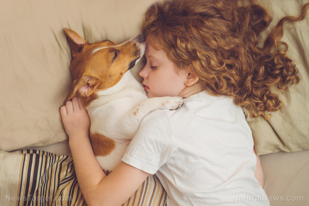 Image: Too much loving: Being overly affectionate with pets can be “life-threatening,” warns researcher
