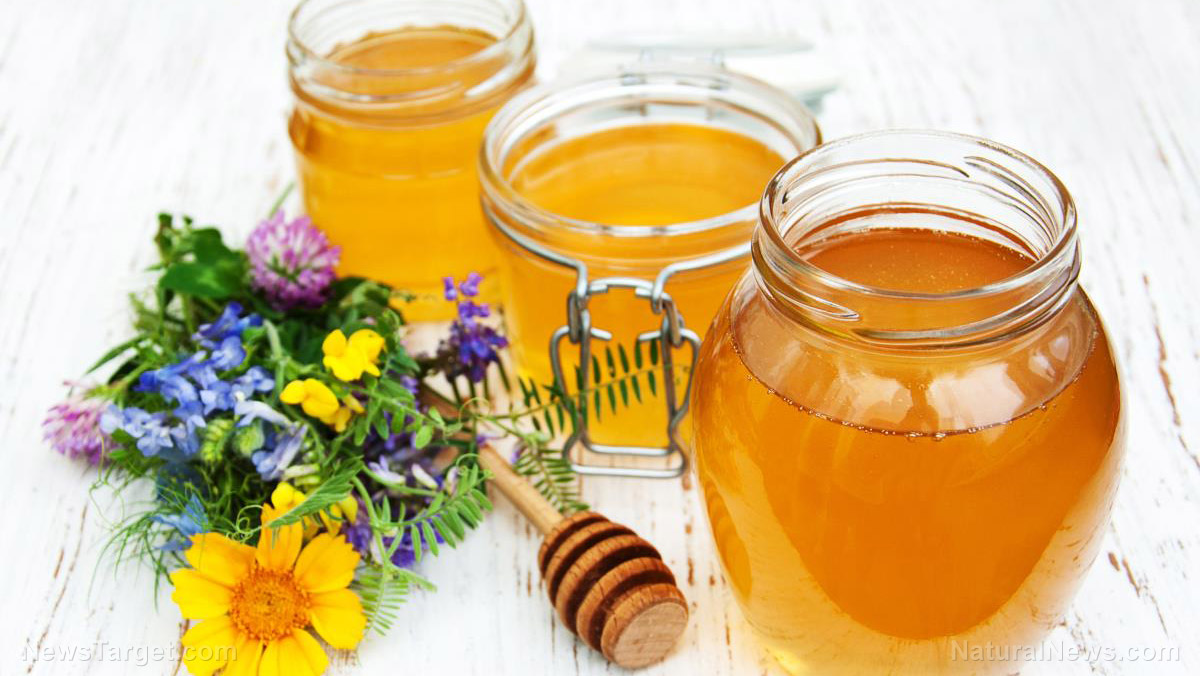 Image: Why is honey a superfood? Scientists discover new proteins in honey responsible for the superfood’s antimicrobial benefits