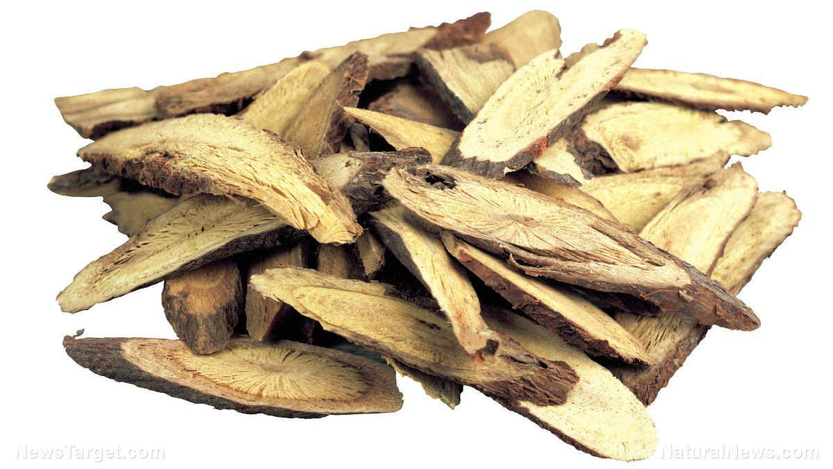 Image: Licorice root for heart health? When combined with other herbal compounds, it regulates calcium proteins to protect your heart muscle