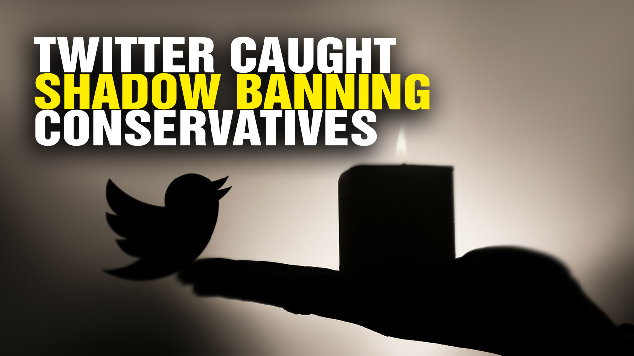 Image: Twitter in total DENIAL about its shadow banning of conservatives