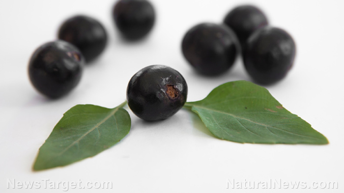 Image: 5 Health benefits of acai berry that make it a real superfood