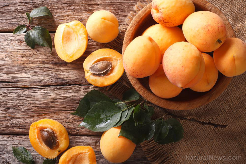Image: Apricots, cherries, plums and more: 6 Nutrient-rich stone fruits you need to add to your diet