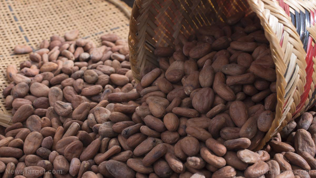Image: The best way to boost the health benefits of cocoa beans lies in how you roast them