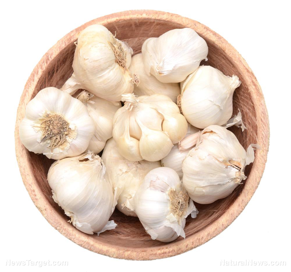 Image: Irrefutable evidence that garlic is good for you