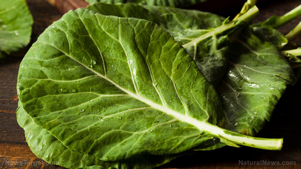Image: From reduced glaucoma risk to better skin, here are 8 reasons to eat collard greens