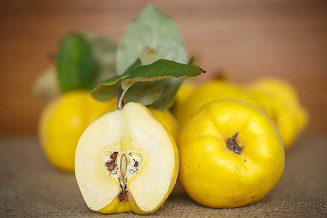Image: The extract of the quince seeds proven to keep your skin healthy