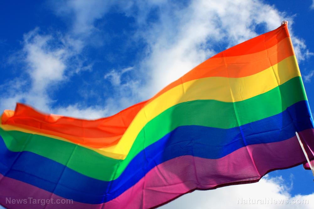 Image: Iowa man sentenced to 16 years in prison for burning an LGBTQ flag – but if you’re an illegal alien who murders a woman in cold blood, you’ll be acquitted!
