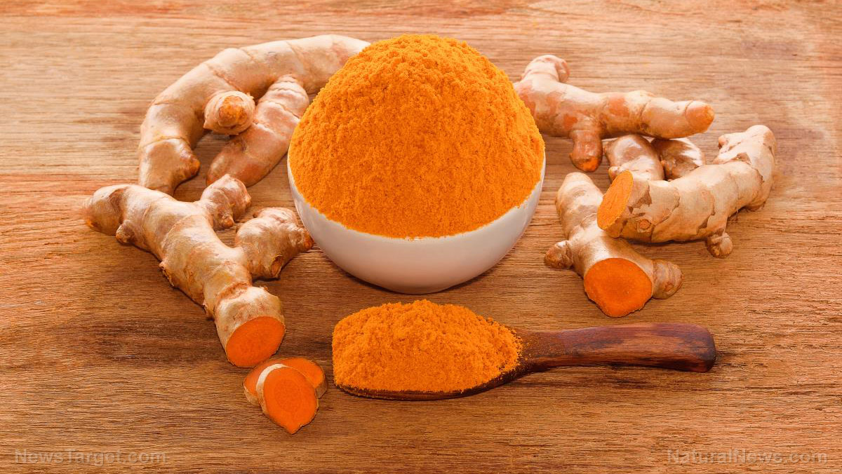 Image: Stage-3 myeloma cancer completely ELIMINATED with a turmeric supplement – British Medical Journal