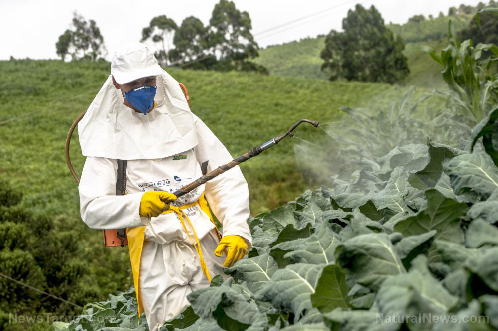 Image: Continued pesticide use ENDANGERS farm workers and children… why are the risks still being ignored?