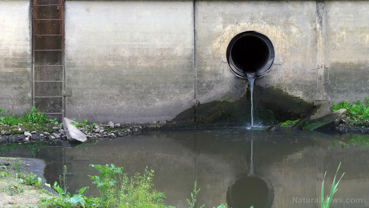 Image: California’s environmental policies have left children swimming in sewage
