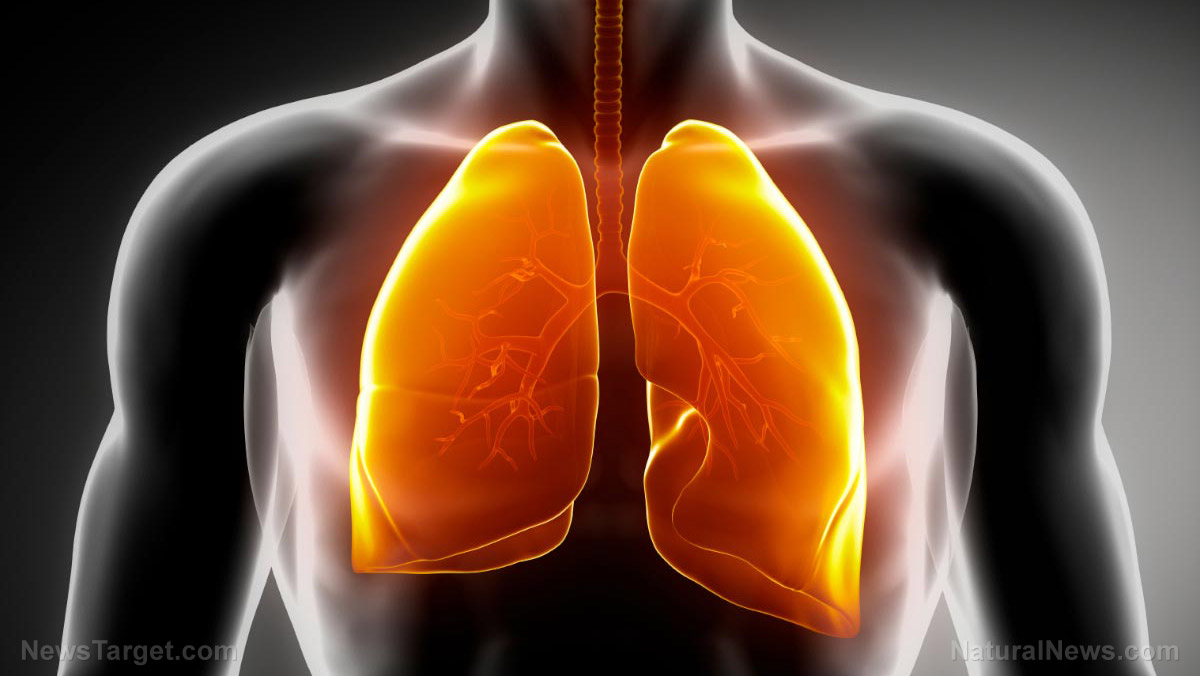 Image: Mobile app records your breathing to detect respiratory disease and monitor lung function
