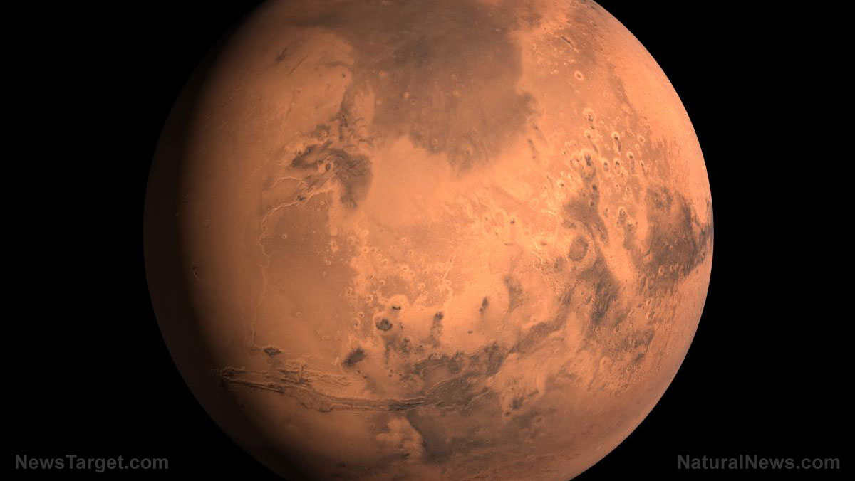 Image: Bacteria experiment findings suggest life could exist on Mars