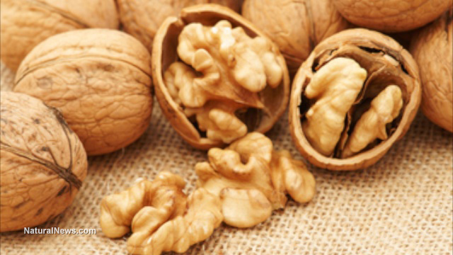 Image: For the ladies: Eating walnuts can help halt breast cancer