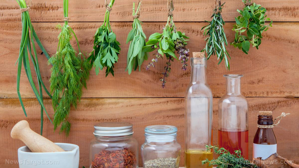 Image: Homesteading 101: 8 Ways to preserve medicinal herbs