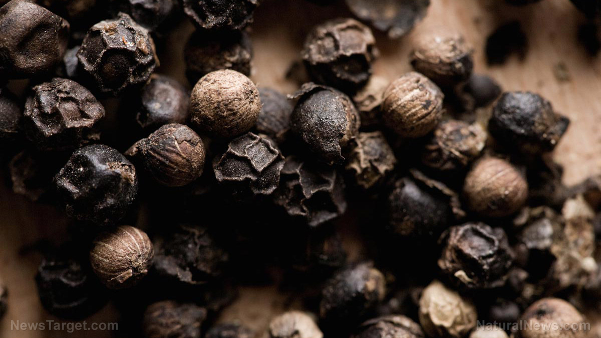 Image: Cubeb Pepper has incredible health benefits and is used in Ayurvedic medicine to treat respiratory illness