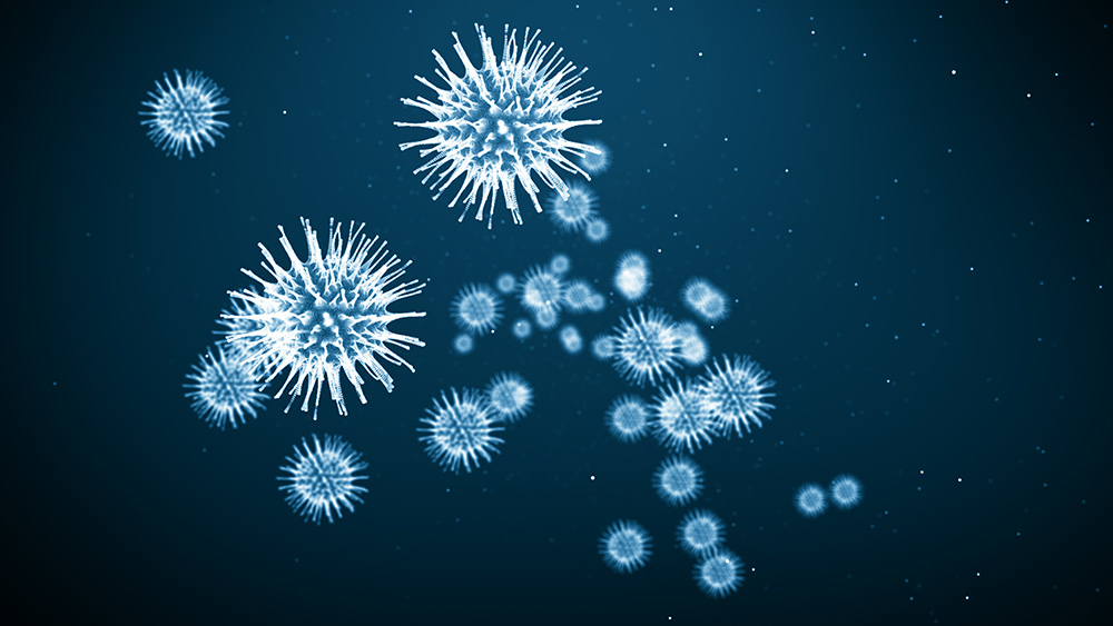 Image: There are now TWO novel coronavirus strains in circulation