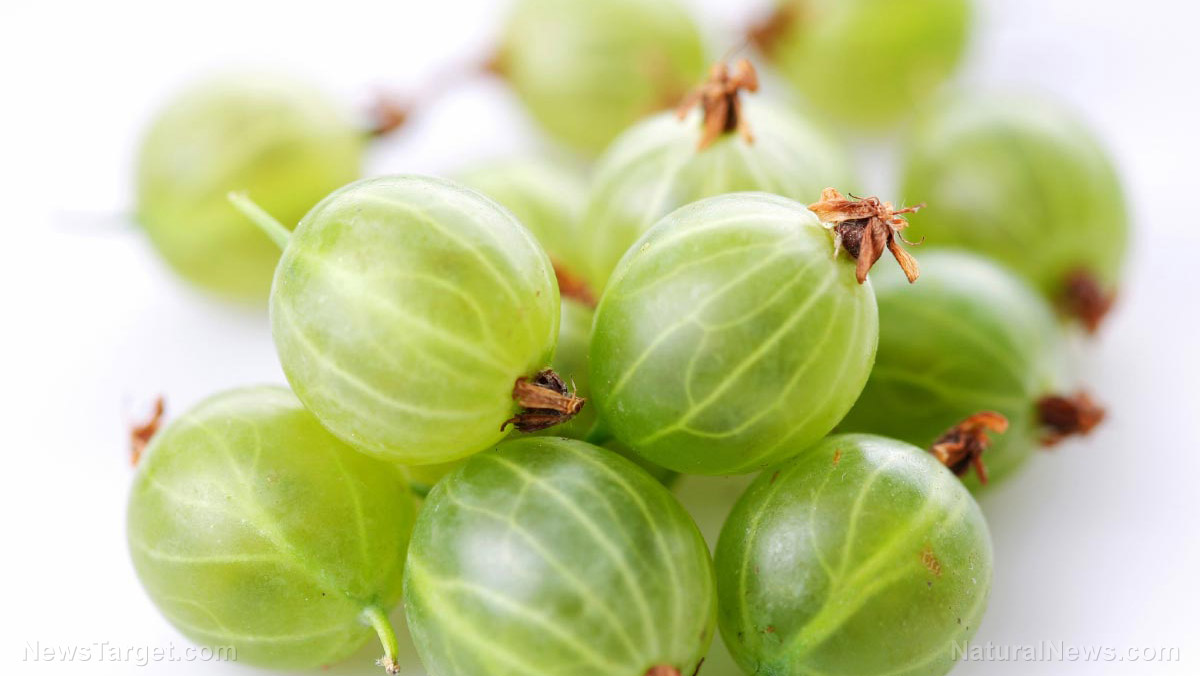 Image: Antioxidants in Indian gooseberry help maintain cardiovascular health and boost immunity