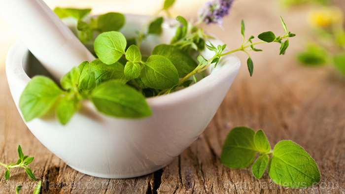 Image: These herbs can protect your skin from cancer, says research