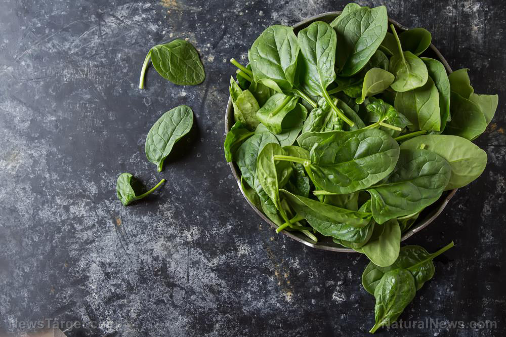 Image: Strong to the finish: Spinach supplements can enhance athletic performance