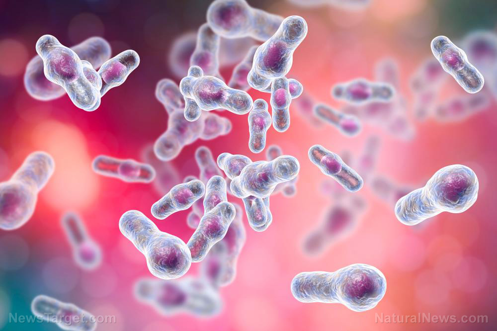 Image: Extracts from microbial species in Red Sea brinepools found to have anti-cancer effects